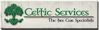 Celtic Services VB, LLC