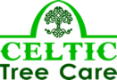 Tree Removal | Landscaping | Virginia Beach | Celtic Tree Care