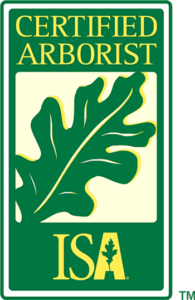 ISA Certified Arborist Virginia Beach | Michael O'Brien